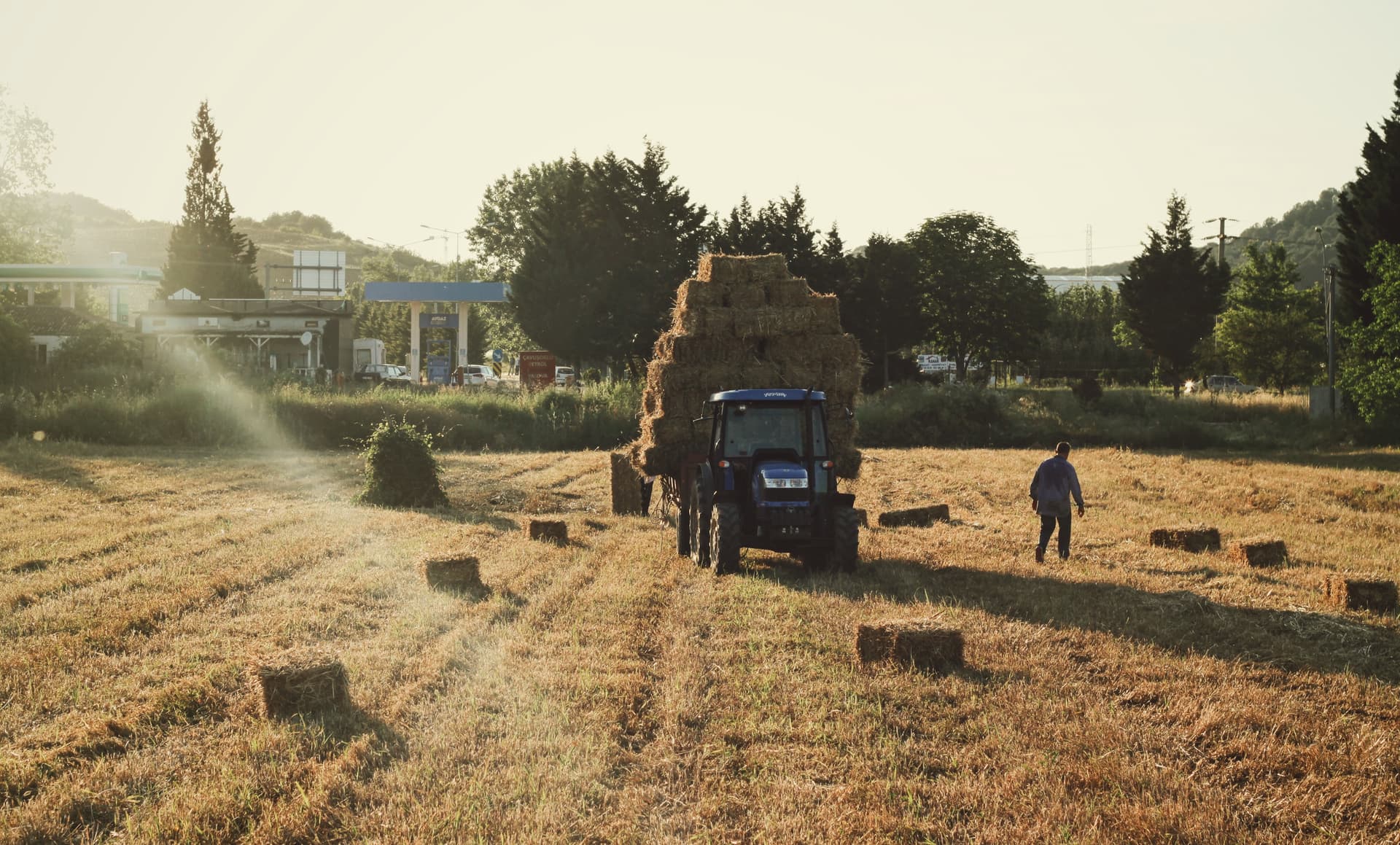 Hay Rides