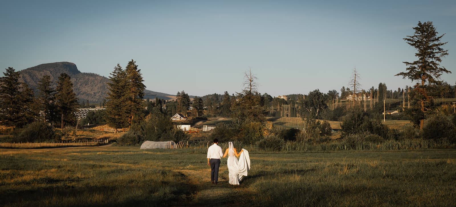 Wedding couple walking away from camera in a large open field